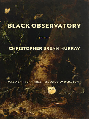 cover image of Black Observatory